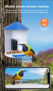 2MP 1080P iCam365 App Низкий Уровень Заряда батареи При Подаче Сигнала Смотрите Птичью IP-Камеру AI Humanoid Detection Watch Bird Monitor